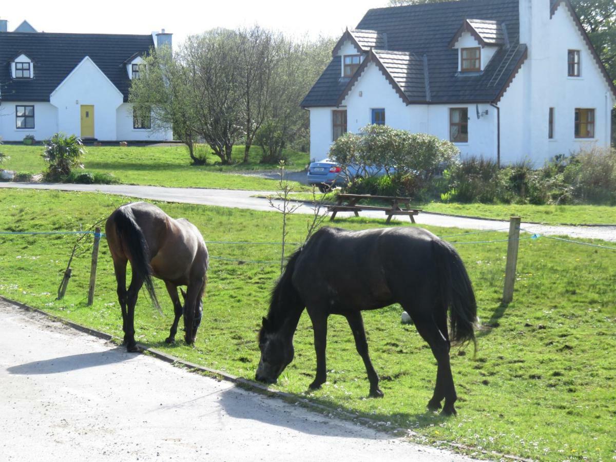 Letterfrack Farm Cottage In Village On A Farm Beside Connemara National Park エクステリア 写真