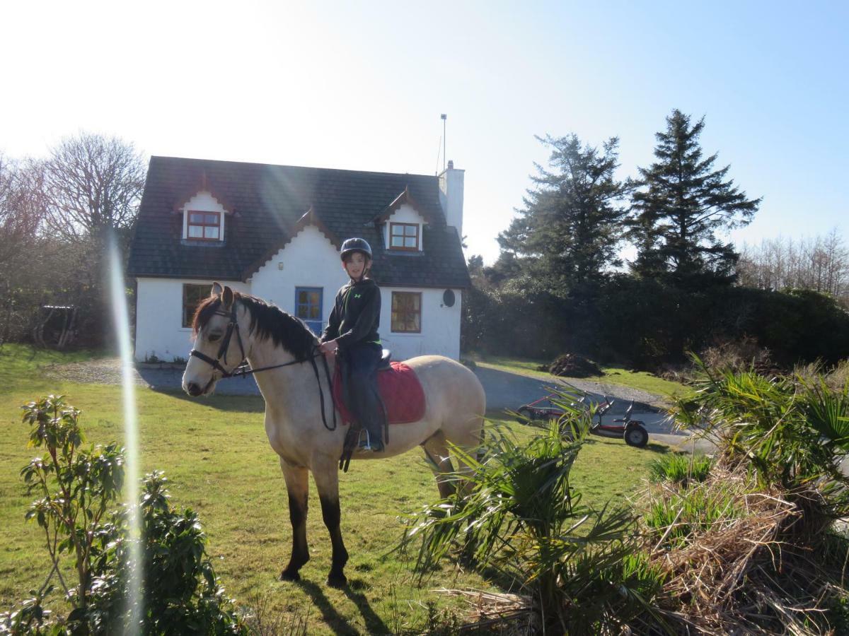Letterfrack Farm Cottage In Village On A Farm Beside Connemara National Park エクステリア 写真
