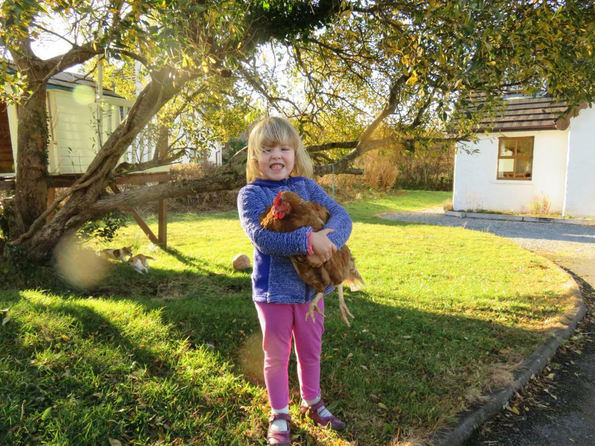 Letterfrack Farm Cottage In Village On A Farm Beside Connemara National Park エクステリア 写真